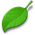 nav_leaf